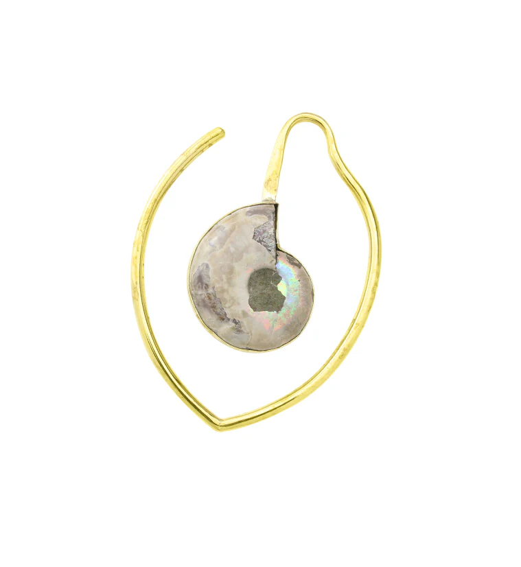 Drop Ammonite Fossil Teardrop Ear Weights - Image 3