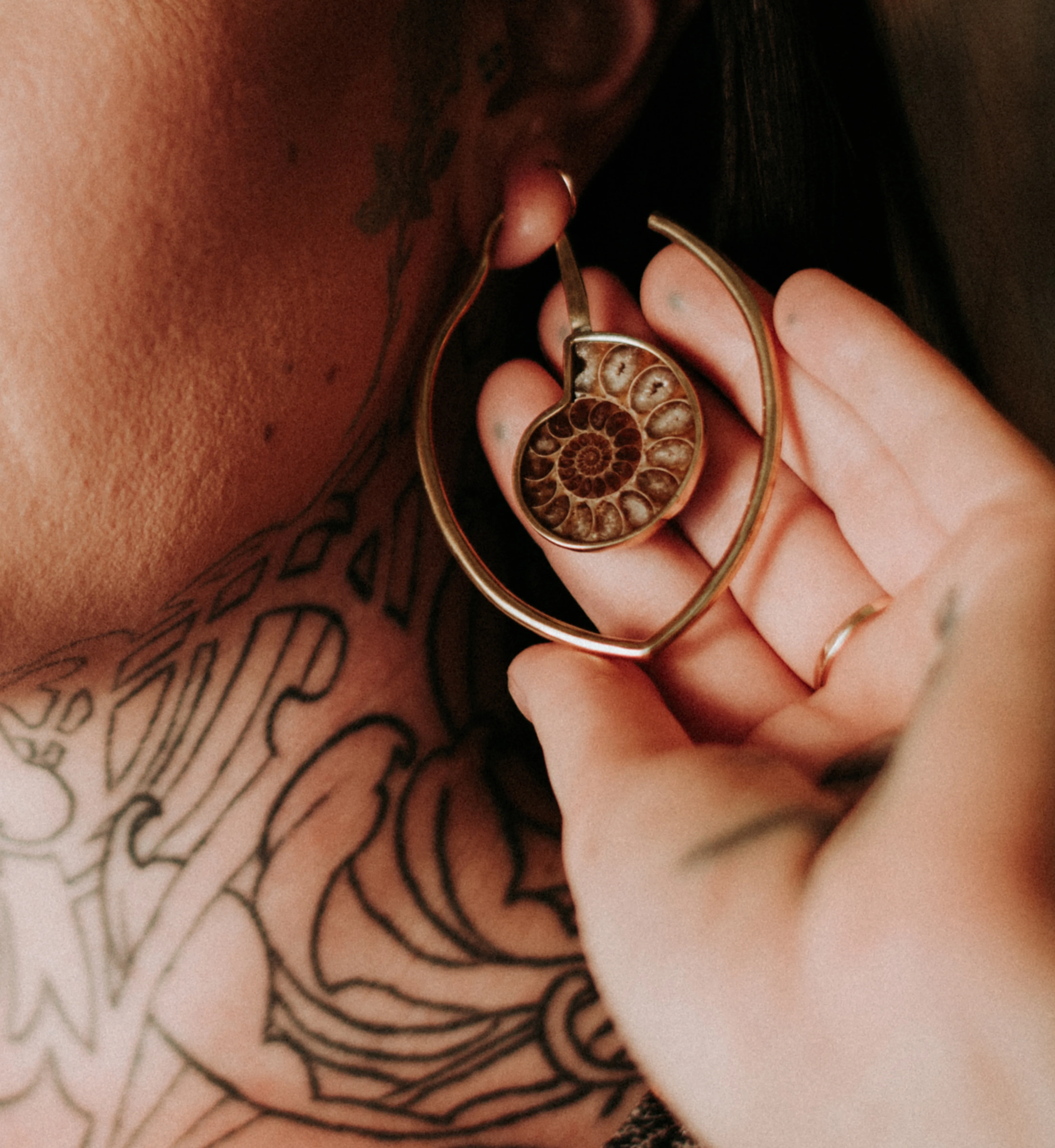 Drop Ammonite Fossil Teardrop Ear Weights - Image 4