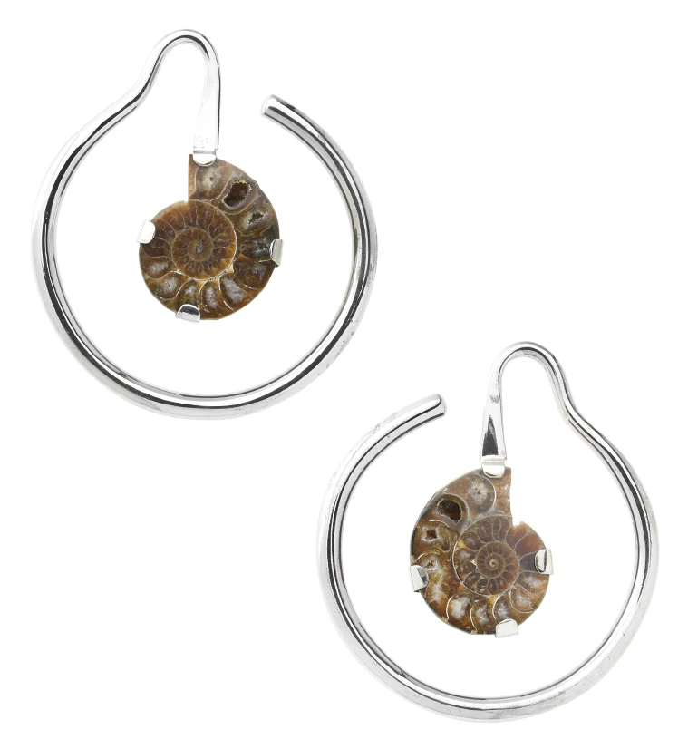 Prong Ammonite Fossil White Brass Ear Weights