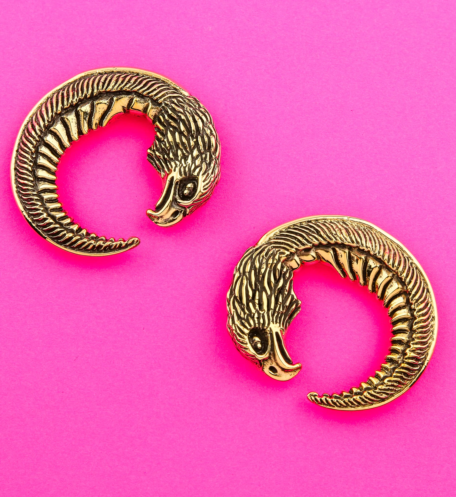 Eagle Head Circular Brass Ear Weights - Image 2