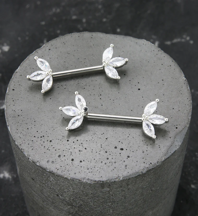 Empress Clear CZ Stainless Steel Nipple Barbell - Image 2
