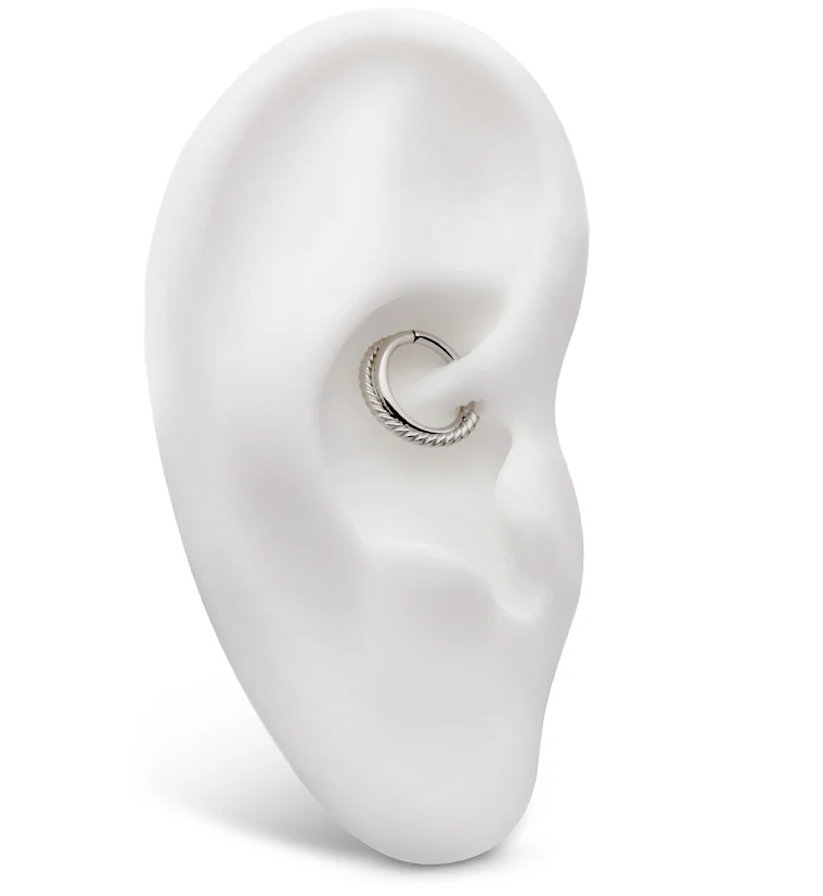 Entwine Twist Stainless Steel Hinged Segment Ring - Image 3