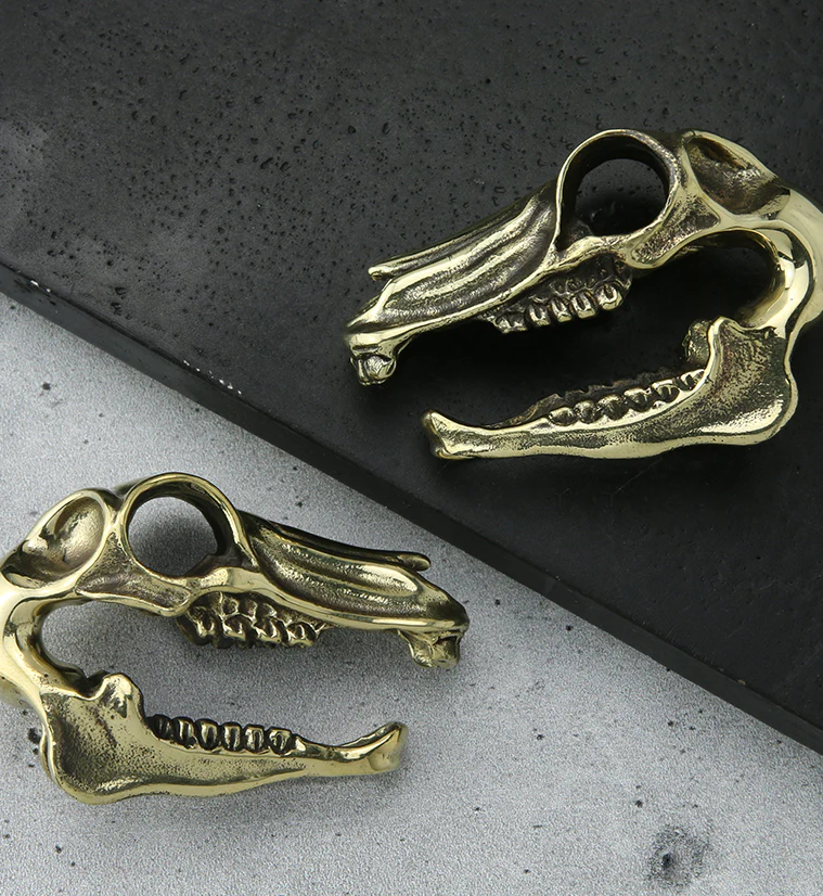 Equestrian Skull Brass Ear Weights - Image 2