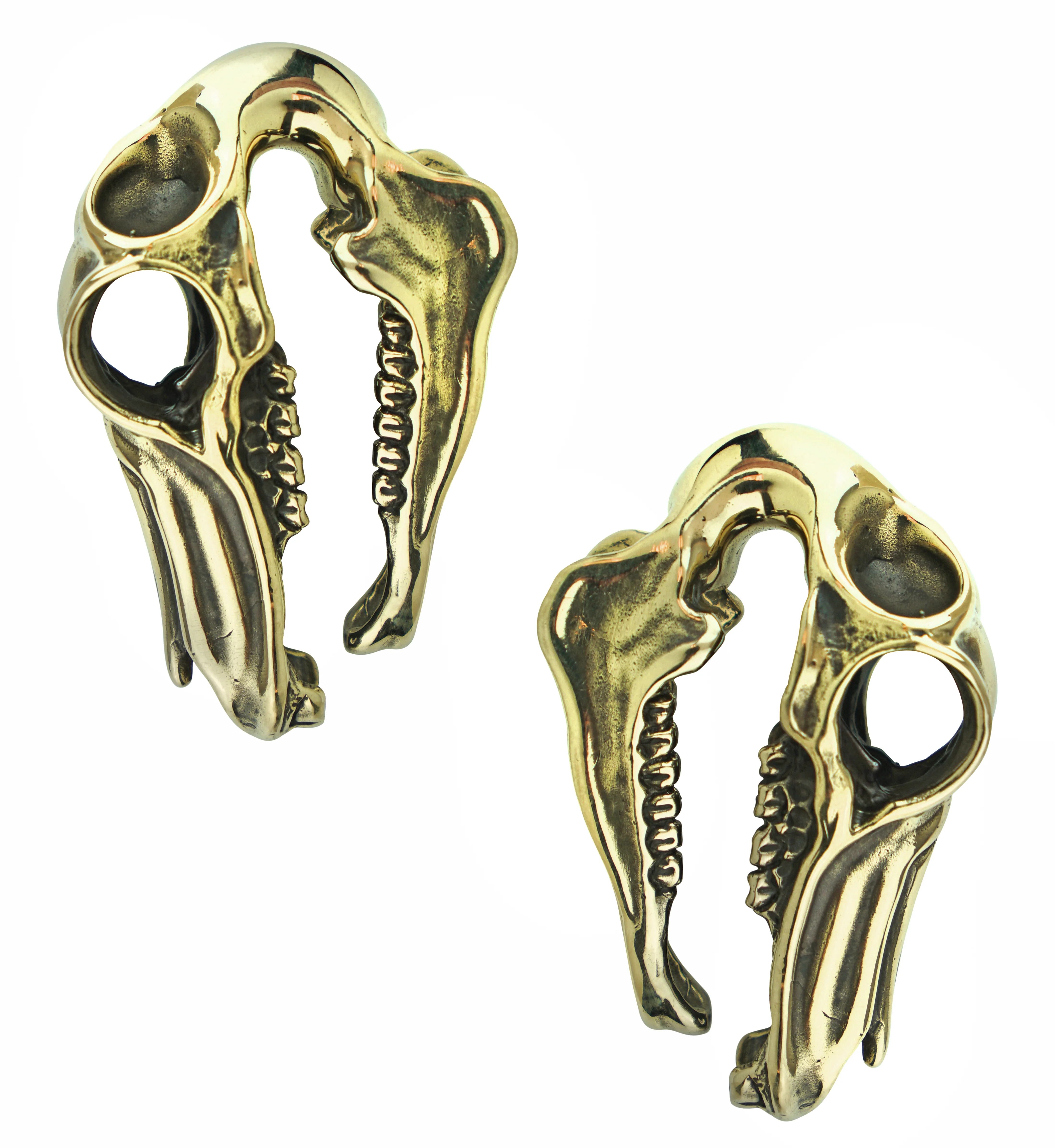 Equestrian Skull Brass Ear Weights - Image 3
