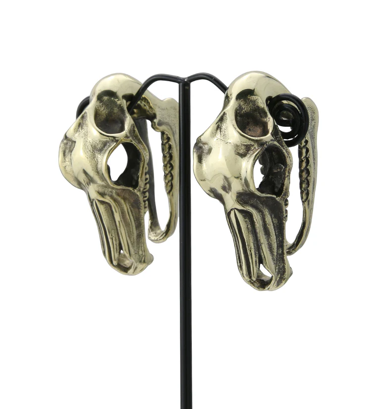 Equestrian Skull Brass Ear Weights - Image 4