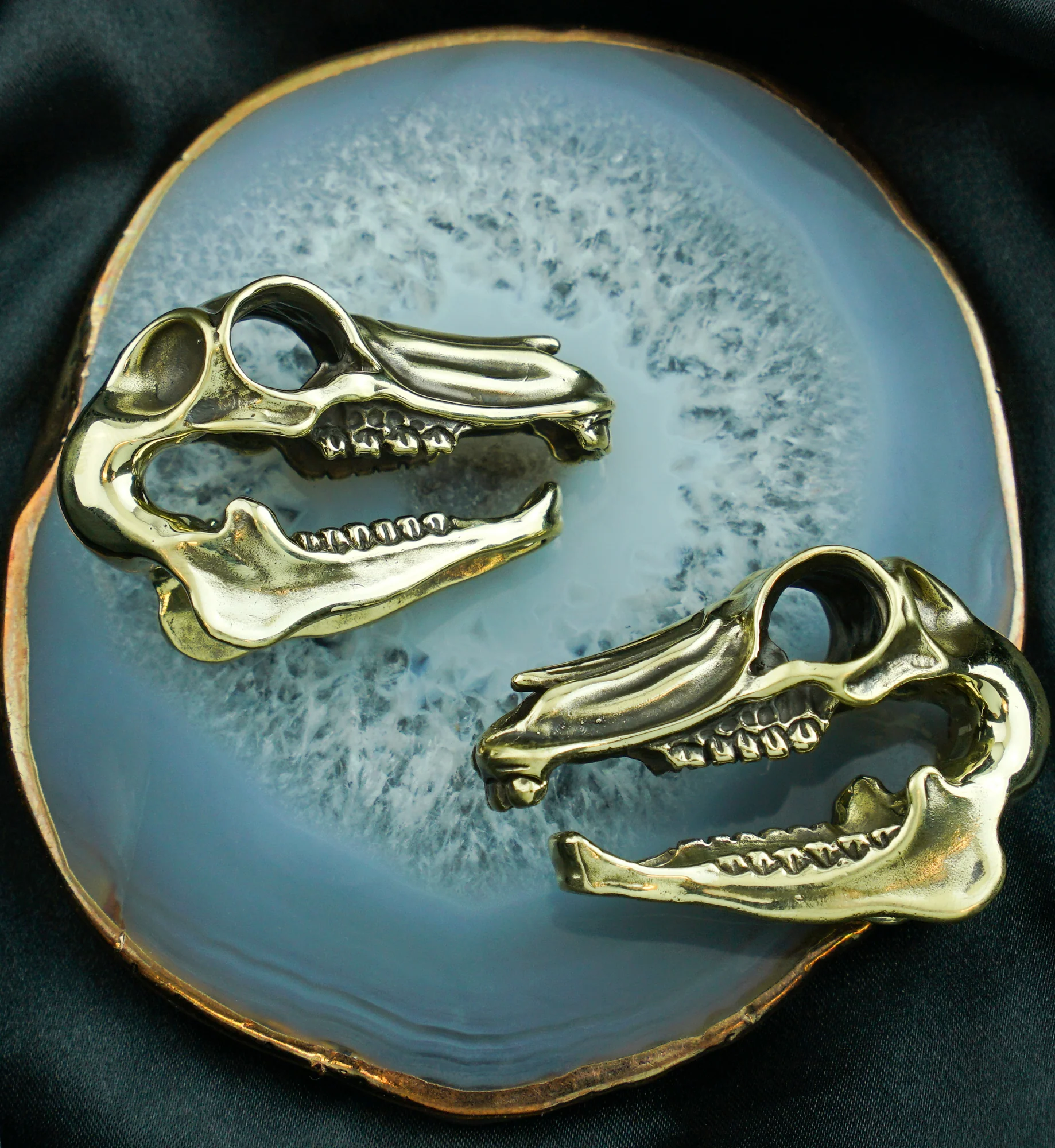 Equestrian Skull Brass Ear Weights - Image 5