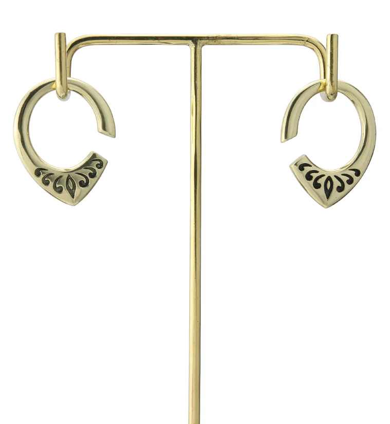 Fleck Brass Ear Weights - Image 5