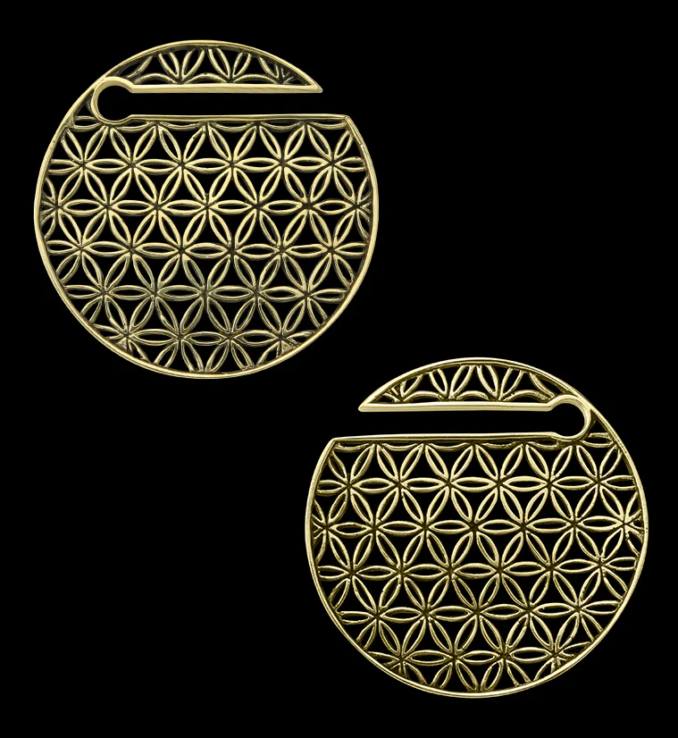 Flower of Life Disk Golden Ear Weights - Image 3
