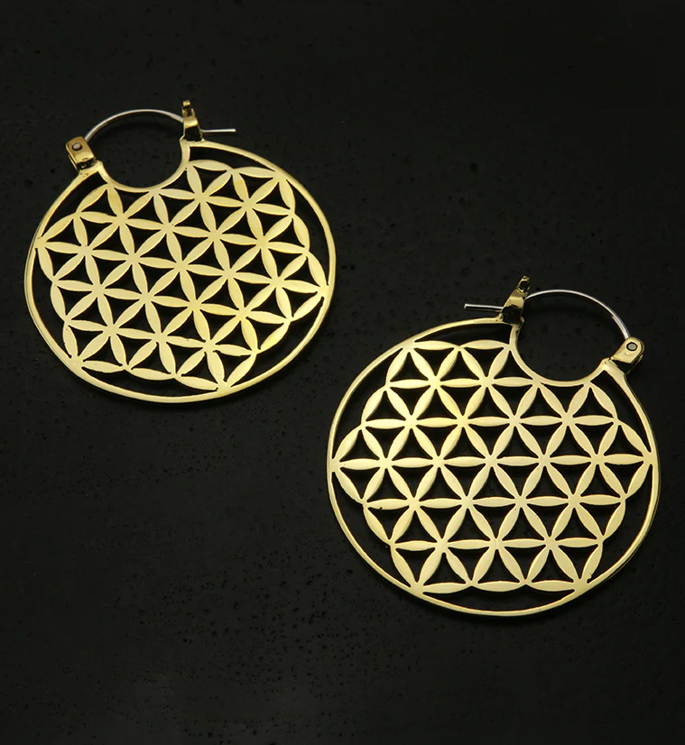 Flower of Life Brass Ear Weights - Image 8