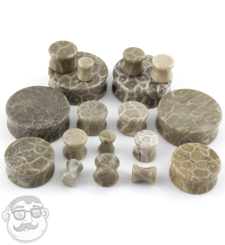 Fossilized Coral Plugs - Image 3