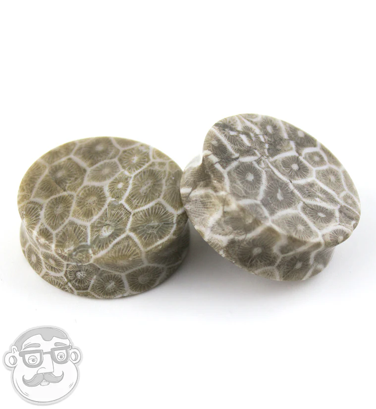 Fossilized Coral Plugs - Image 6