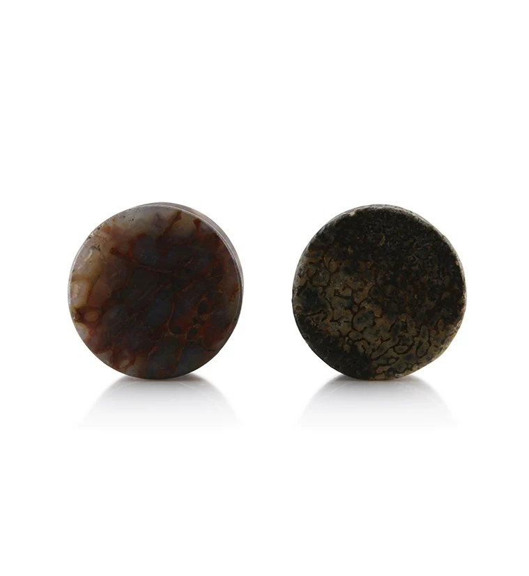 Fossilized Dinosaur Bone Plugs 9/16" (14mm) (Mismatched) Version 6