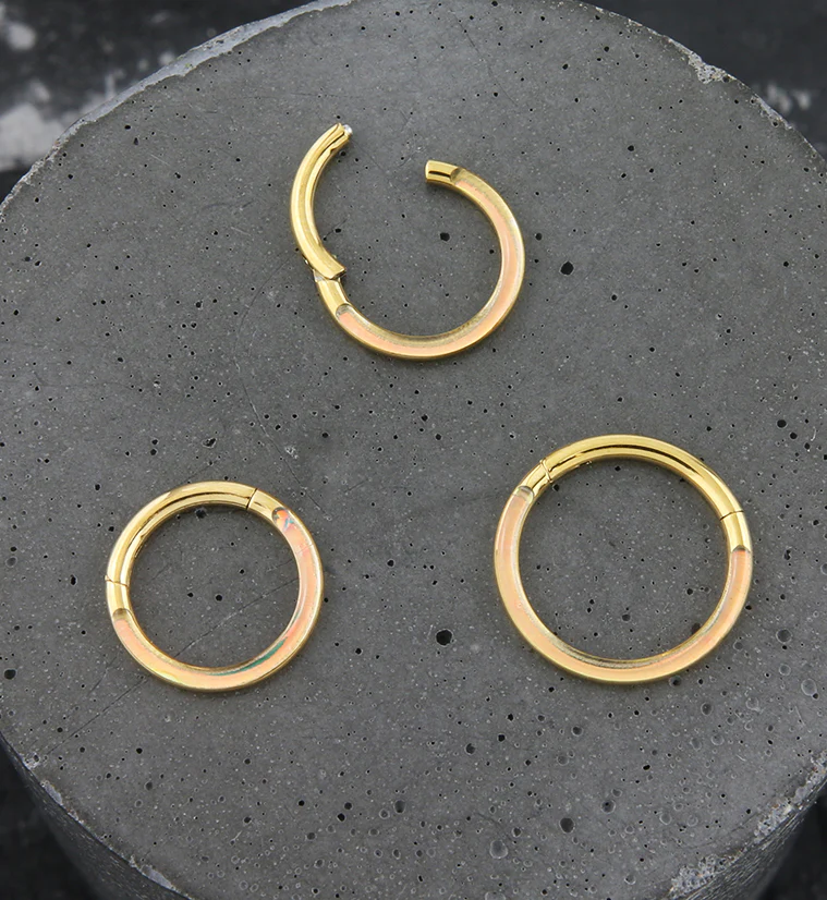 Gold PVD Achromic Titanium Hinged Segment Ring - Image 2