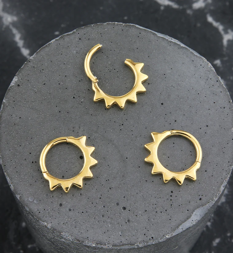 Gold PVD Beam Stainless Steel Hinged Segment Ring - Image 2