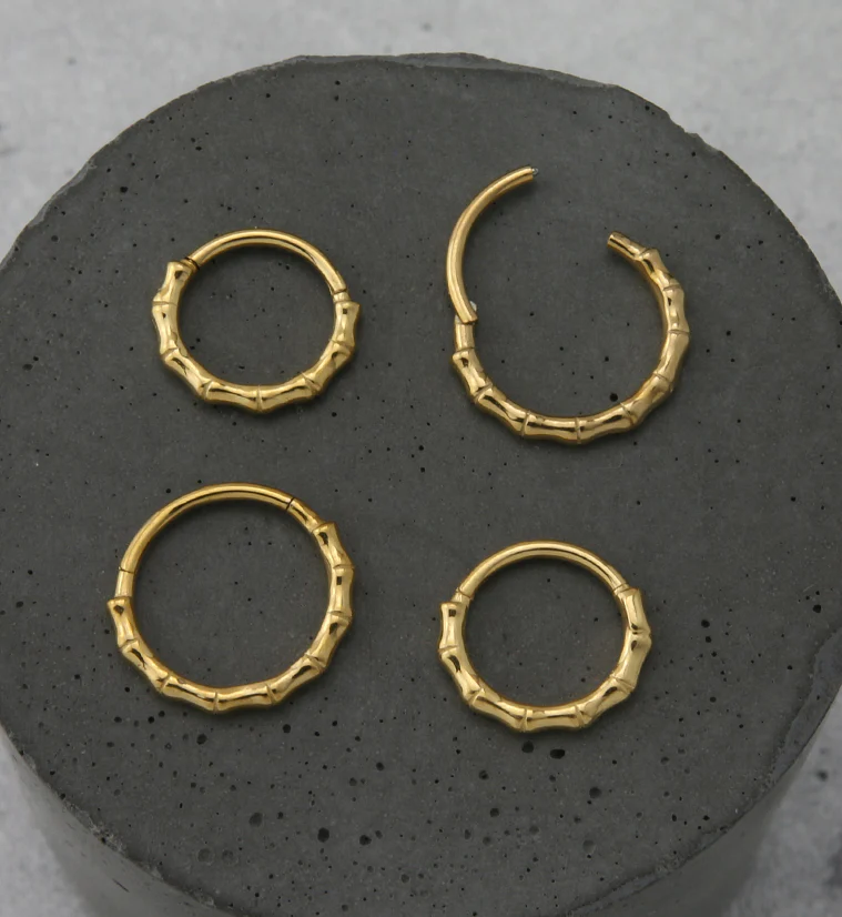 Gold PVD Bracket Stainless Steel Hinged Segment Ring - Image 2