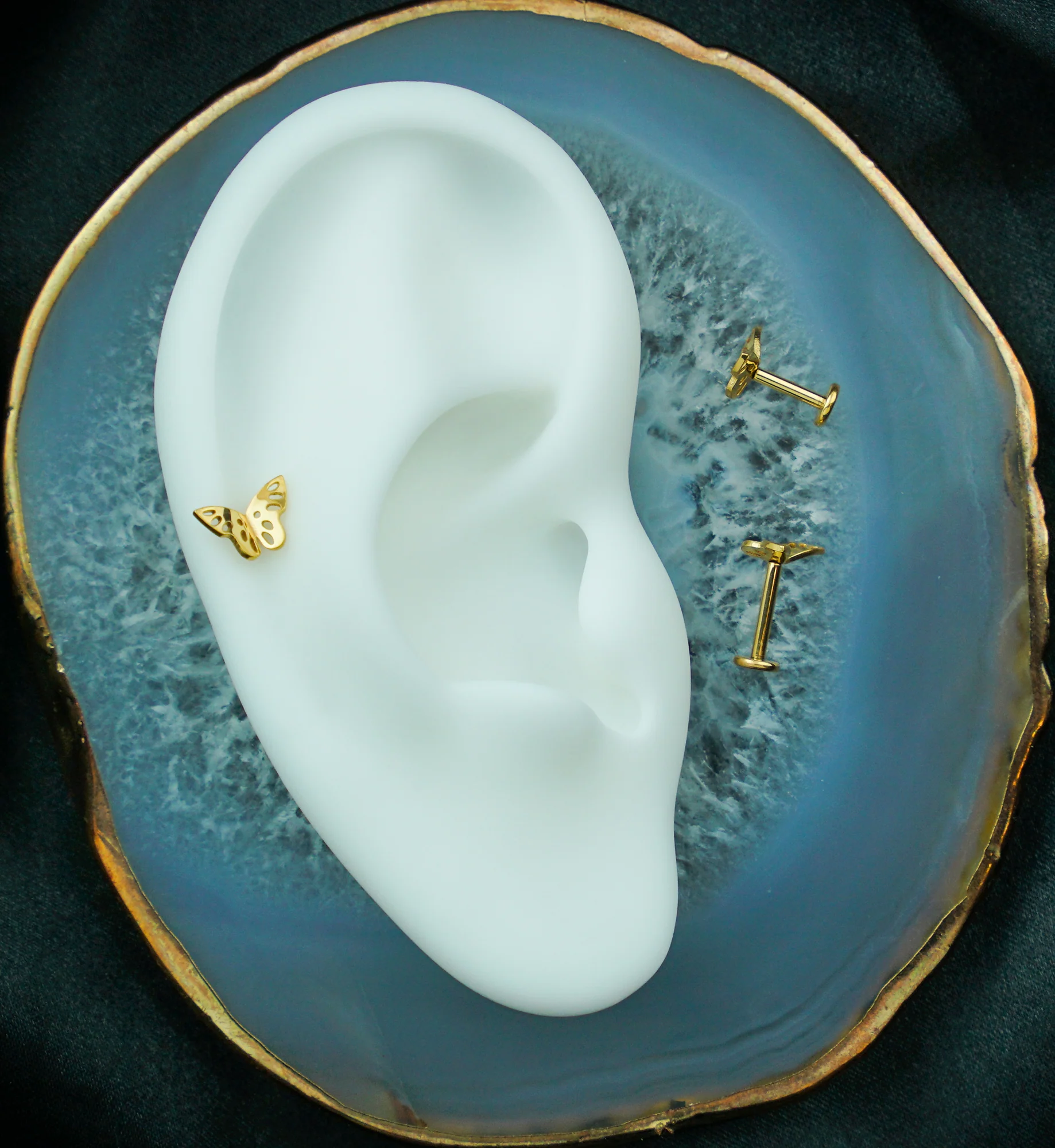 Gold PVD Butterfly Cutout Internally Threaded Titanium Labret - Image 2