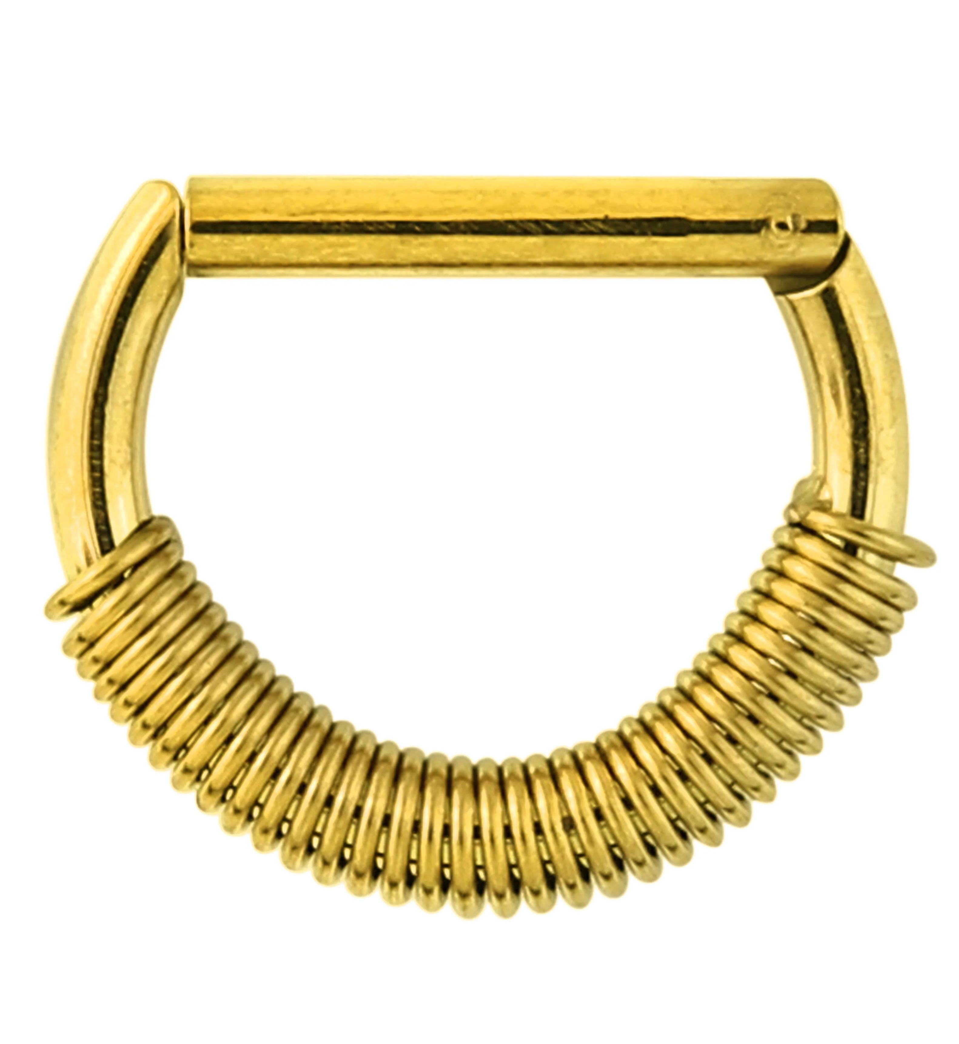 Gold PVD Coil D-Shaped Stainless Steel Hinged Segment Ring - Image 3