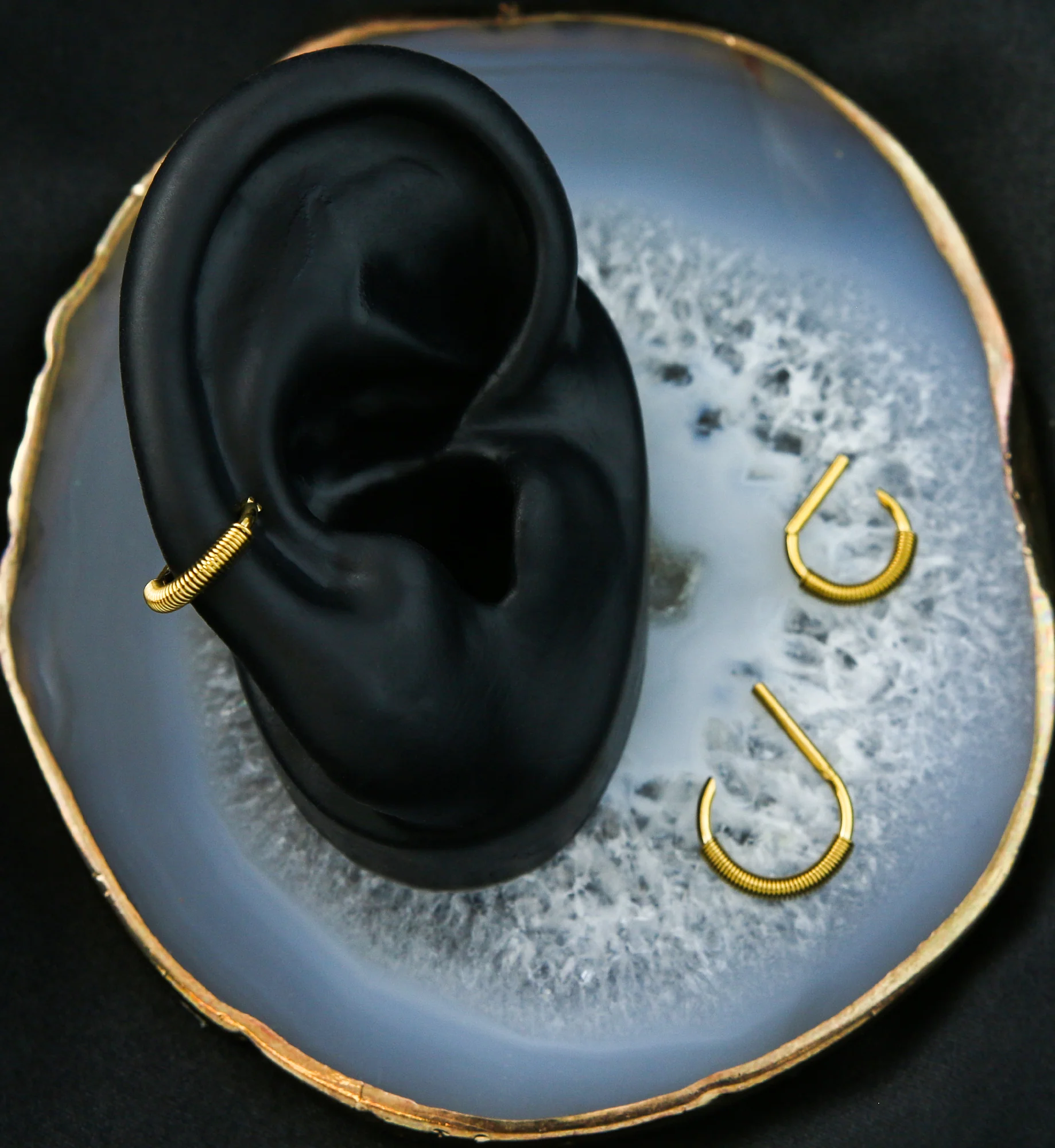 Gold PVD Coil D-Shaped Stainless Steel Hinged Segment Ring - Image 4