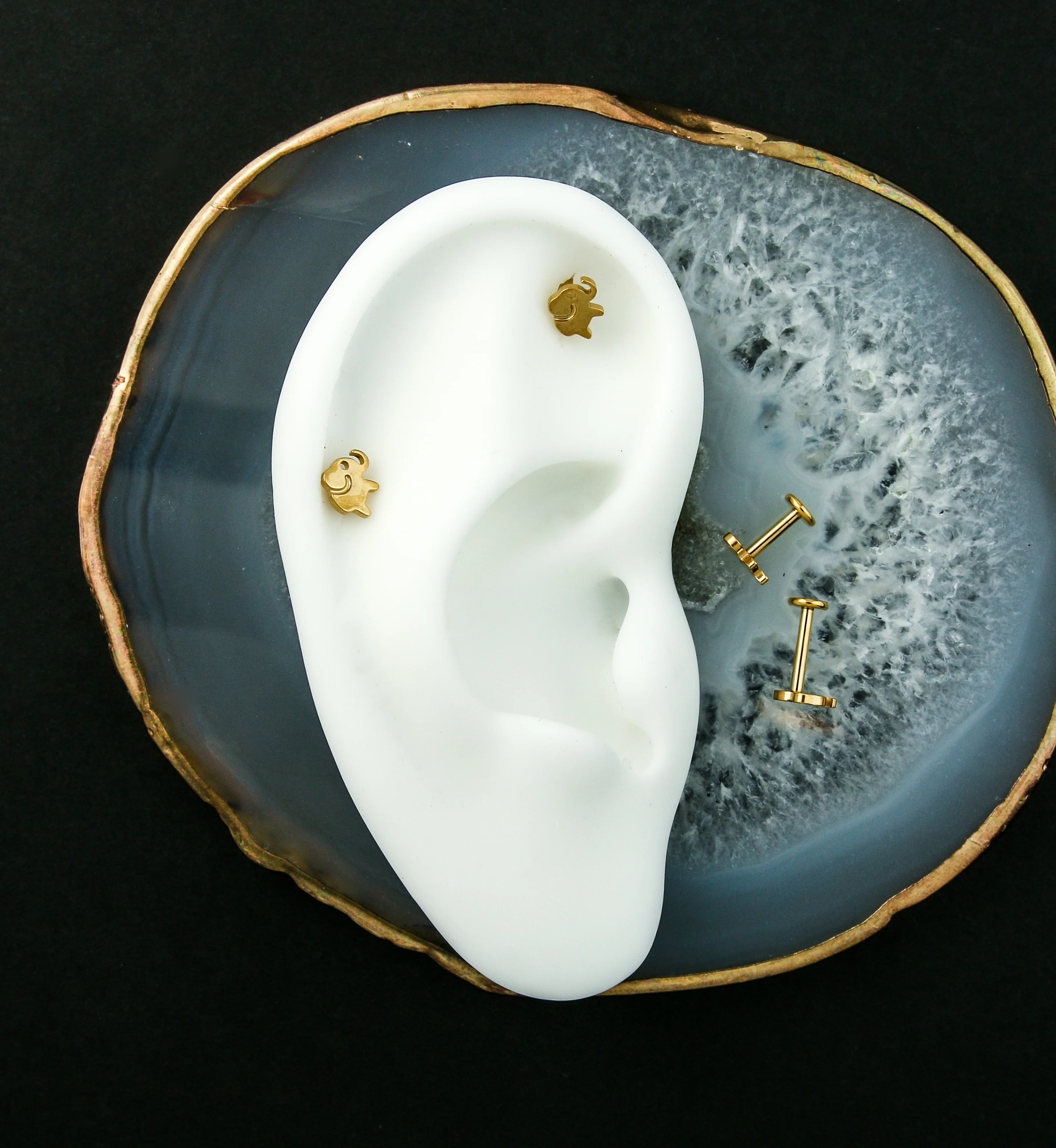 Gold PVD Elephant Internally Threaded Titanium Labret - Image 2