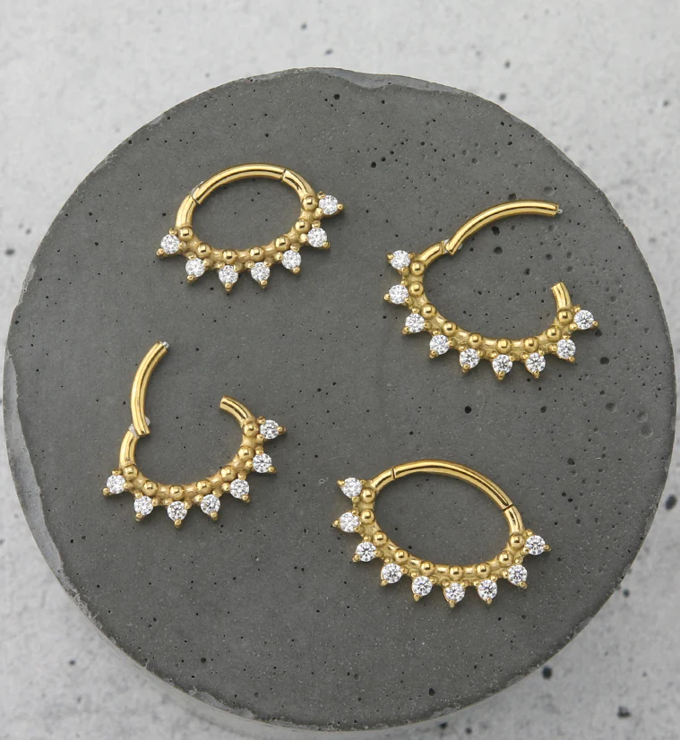 Gold PVD Ellipse CZ Hinged Segment Ring - Image 2
