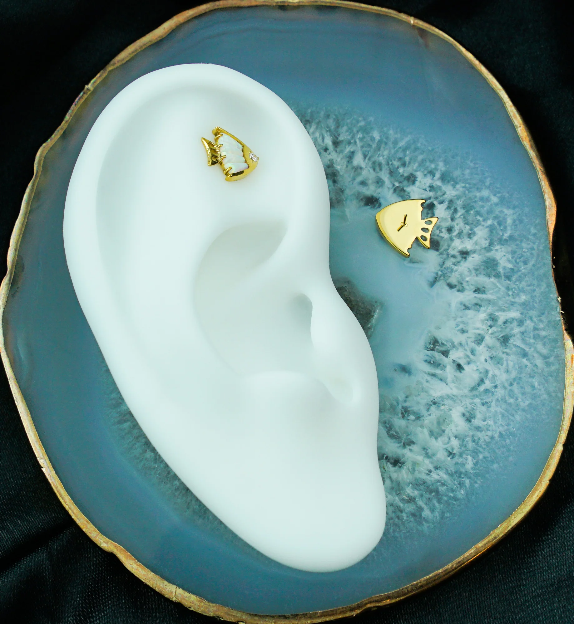 Gold PVD Fish White Opalite Titanium Threadless Top - Image 2