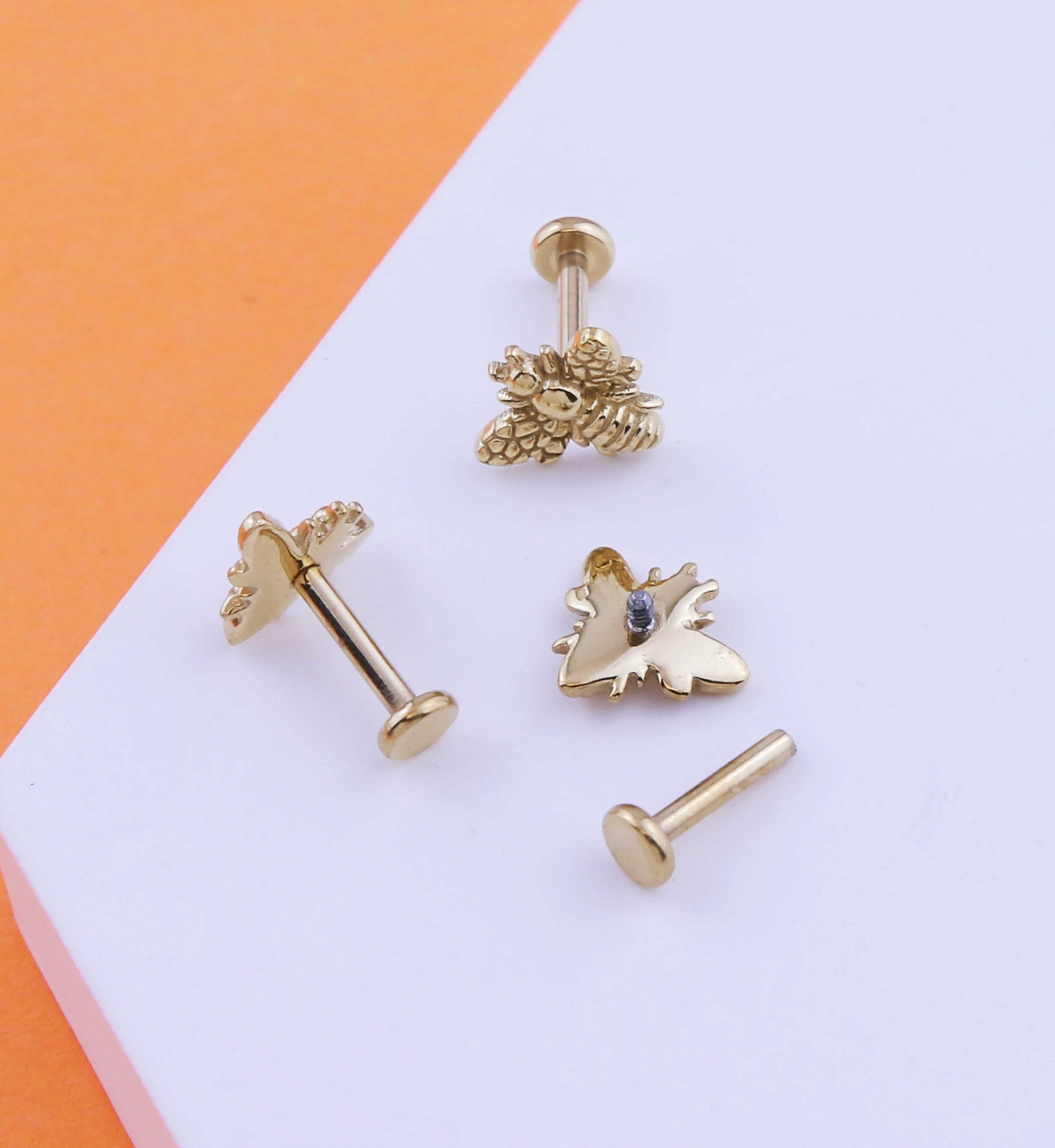 Gold PVD Honey Bee Stainless Steel Internally Threaded Labret - Image 2