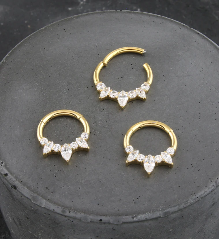 Gold PVD Medley Clear CZ Titanium Hinged Segment Ring - Image 2