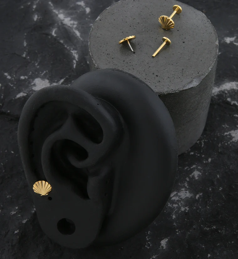 Gold PVD Seashell Threadless Titanium Labret - Image 2