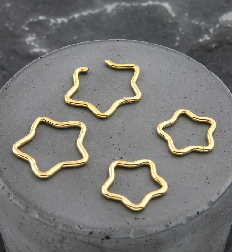 Gold PVD Star Titanium Hinged Segment Ring - Image 2