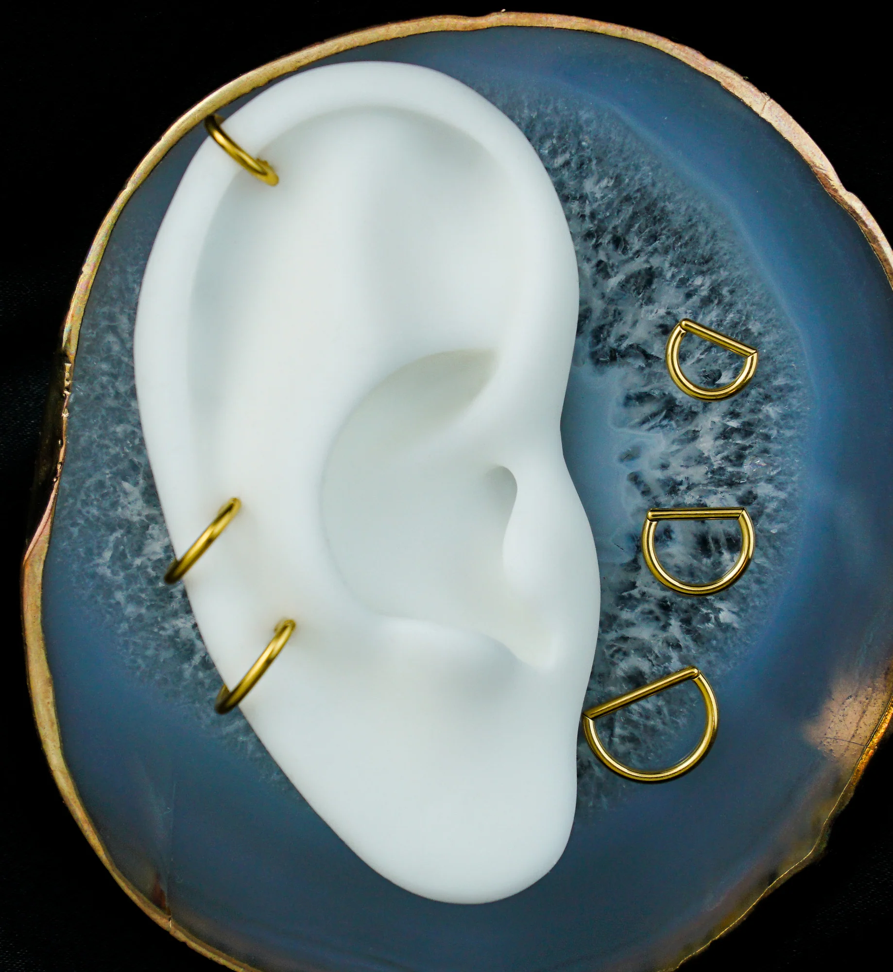 Gold PVD Titanium D-Shaped Hinged Segment Ring - Image 2