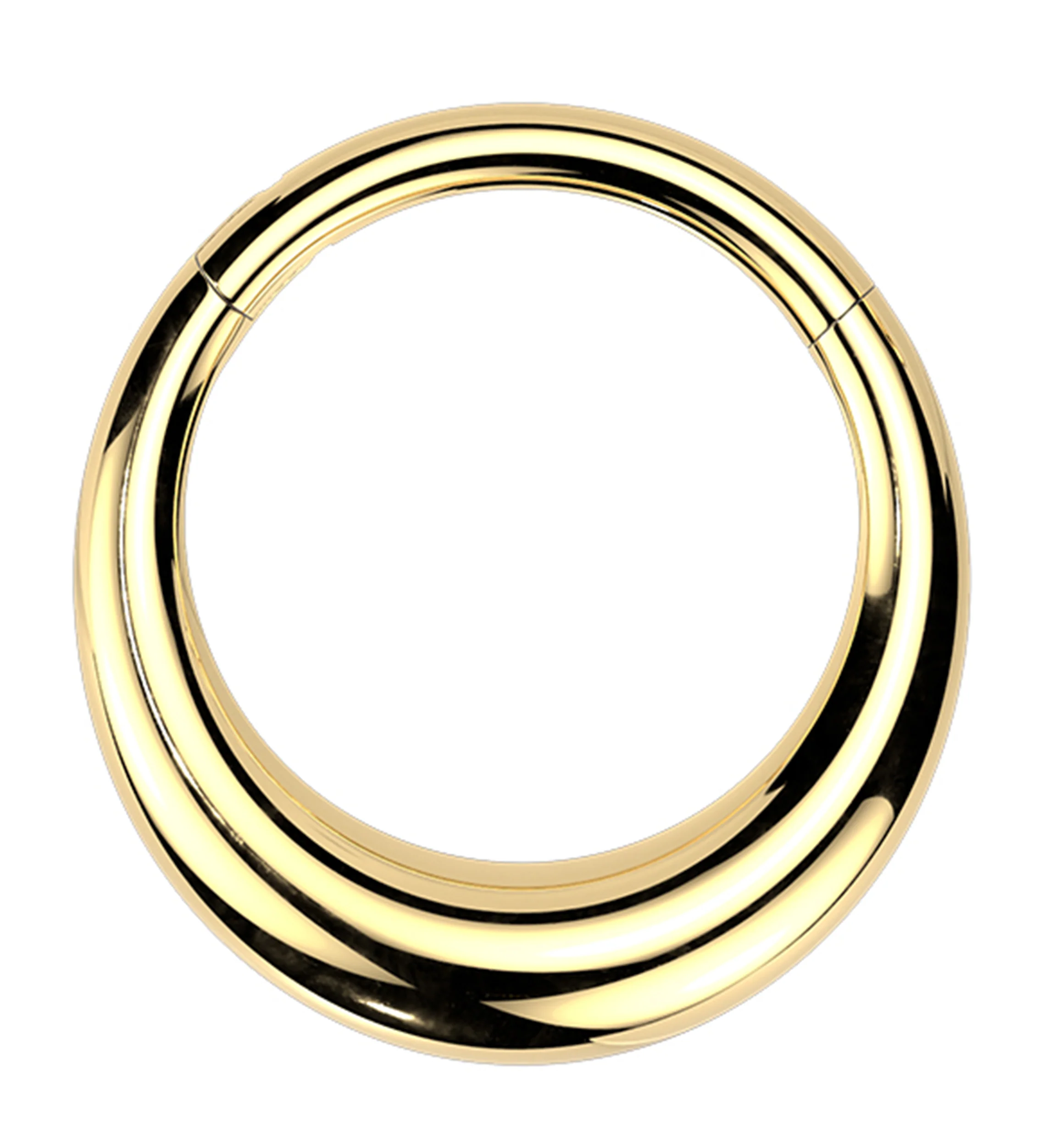 Gold PVD Vast Titanium Hinged Segment Ring