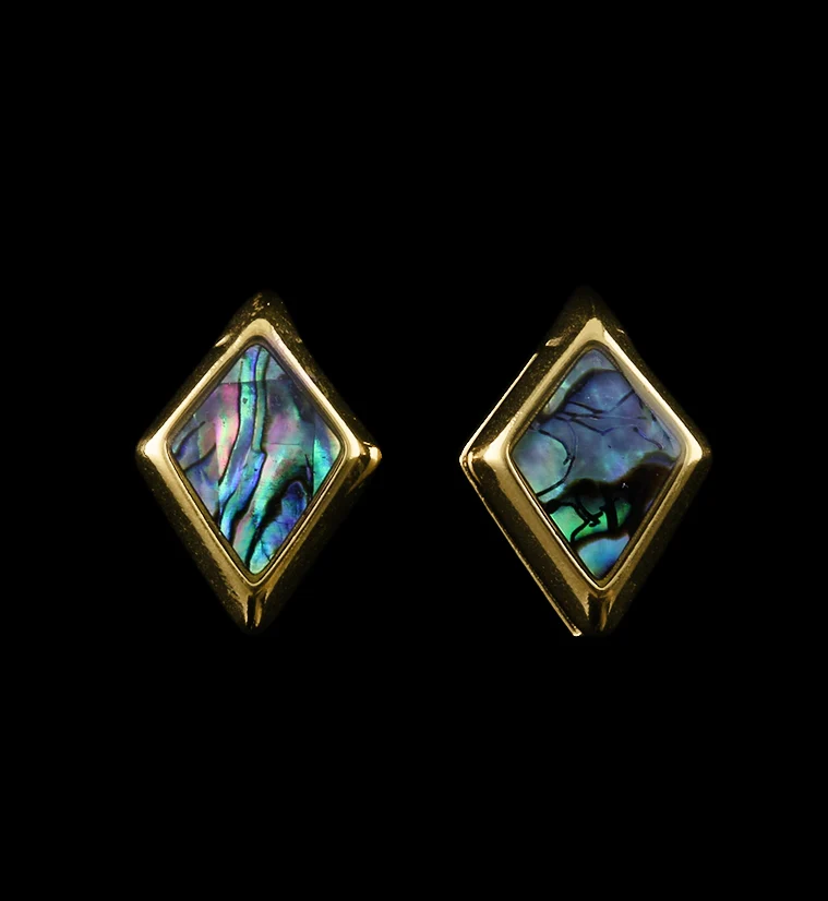 Gold PVD Zircon Abalone Shell Ear Weights - Image 2