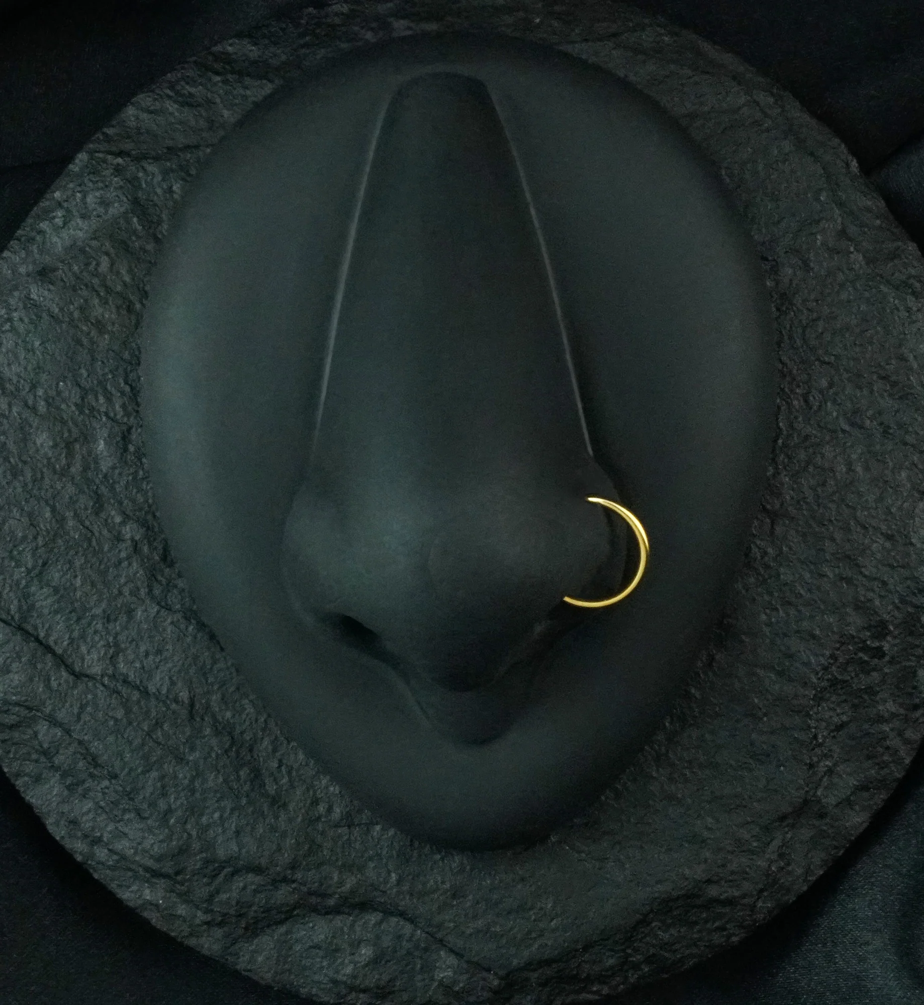 Gold PVD Titanium Nose Ring Hoop - Image 2