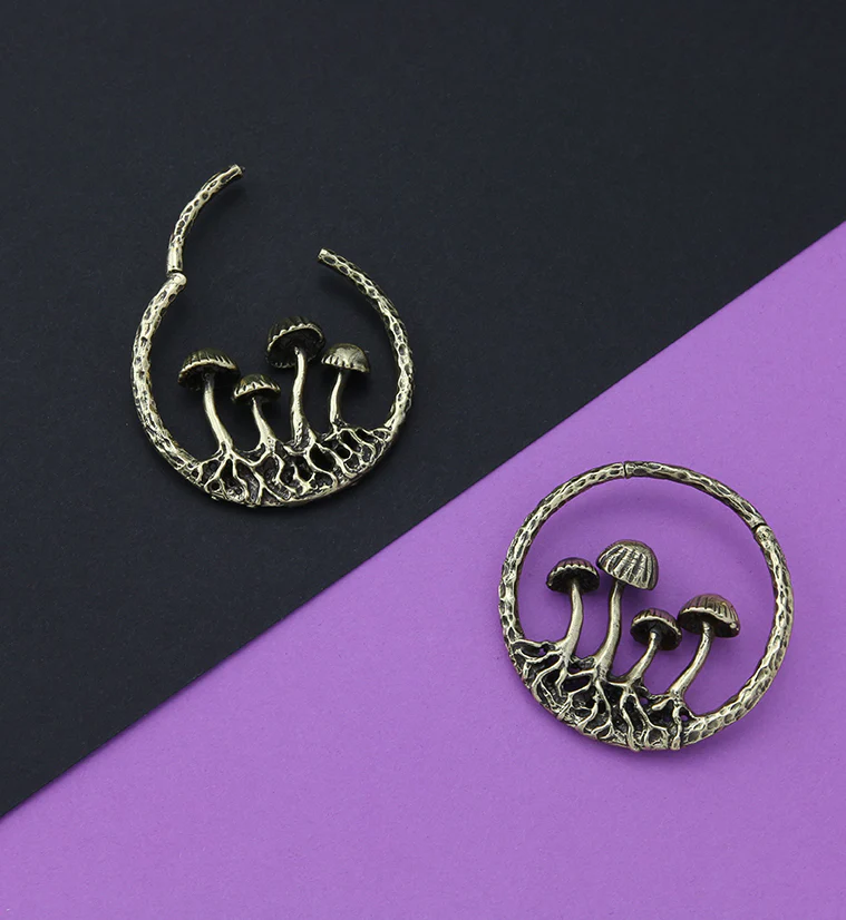 Golden Shroom Brass Ear Weights - Image 2