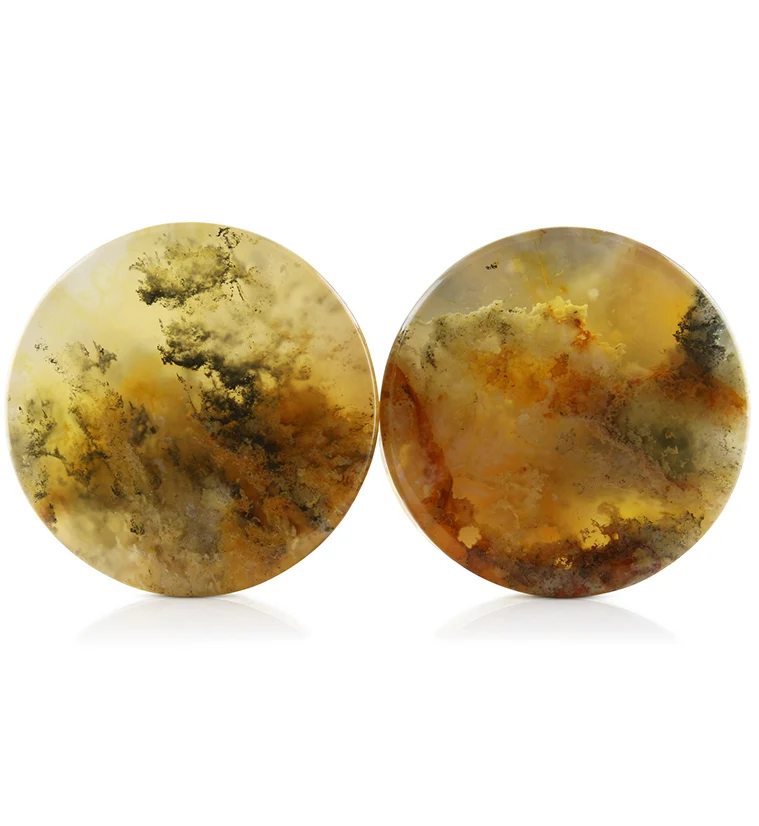 Graveyard Point Plume Agate Stone Plugs 1 Inch (25mm) Version 4