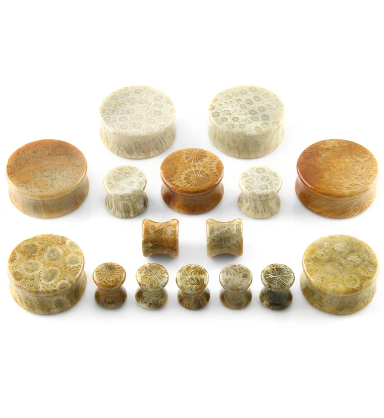 Indonesian Fossilized Coral Plugs - Image 3
