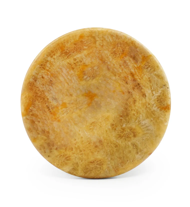 Indonesian Fossilized Coral Plugs - Image 5