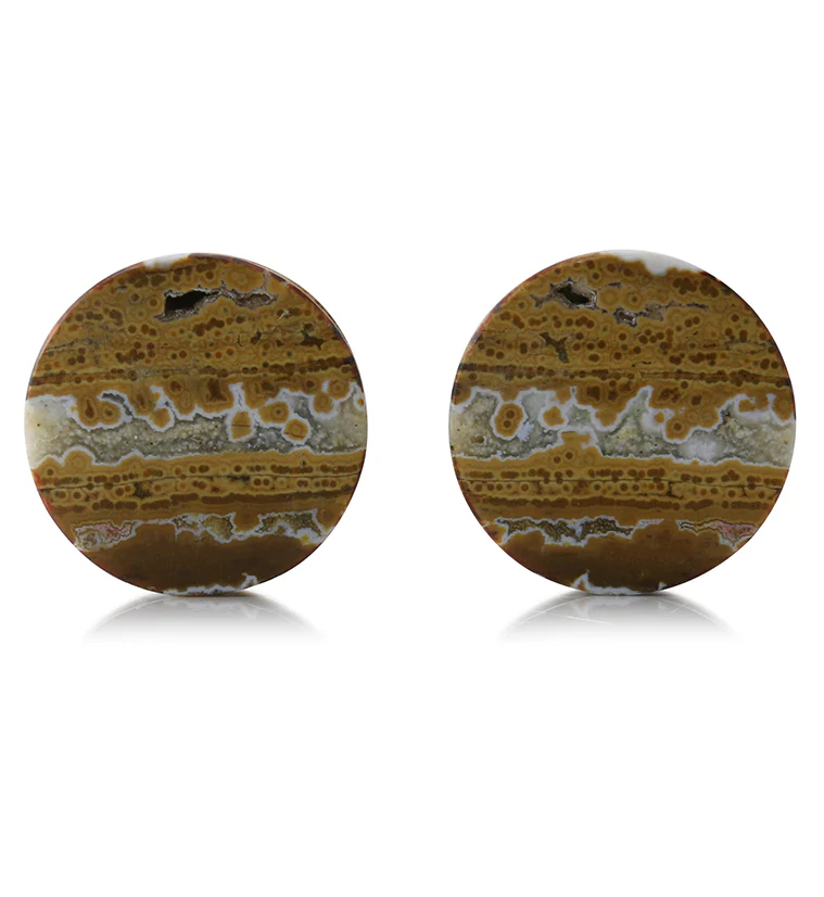 Ocean Jasper Stone Plugs 7/8" (22mm) Version 1