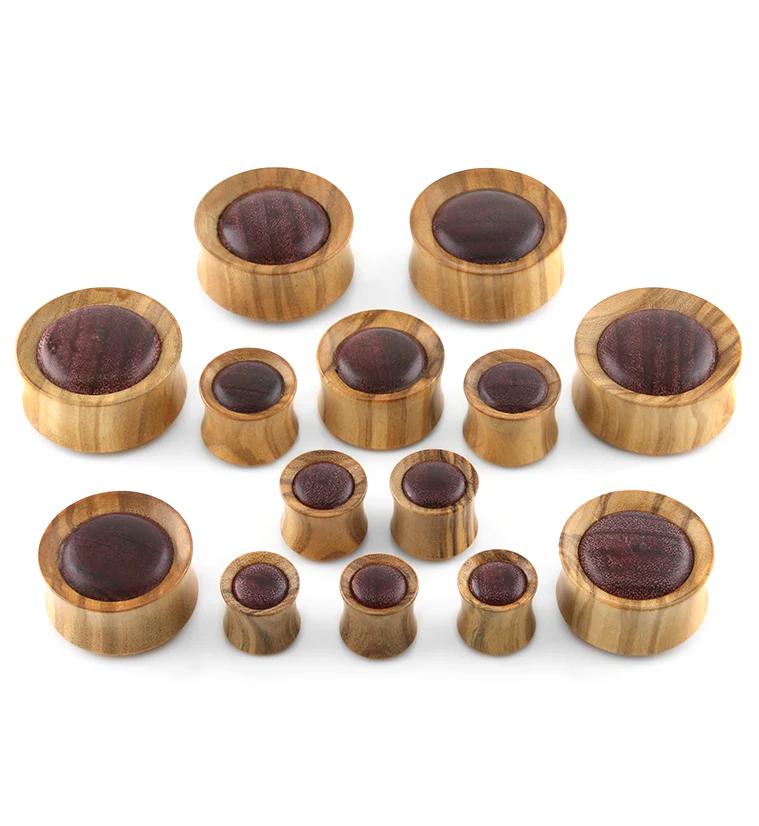 Olive Wood Concave Plugs With Purple Heart Inlay - Image 2