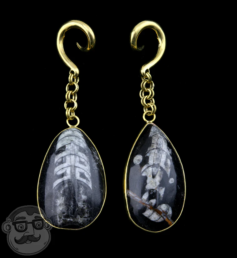 Orthoceras fossil Brass Hangers