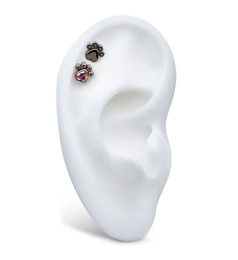 Paw Black CZ Titanium Internally Threaded Top - Image 3