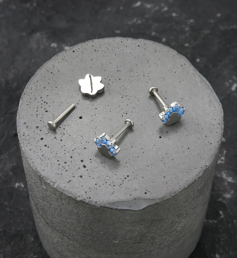 Paw Print Aqua CZ Titanium Threadless Labret - Image 2