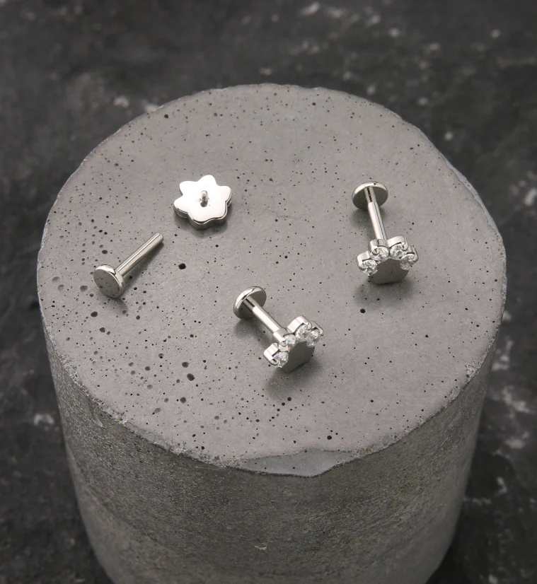 Paw Print Clear CZ Titanium Internally Threaded Labret - Image 2