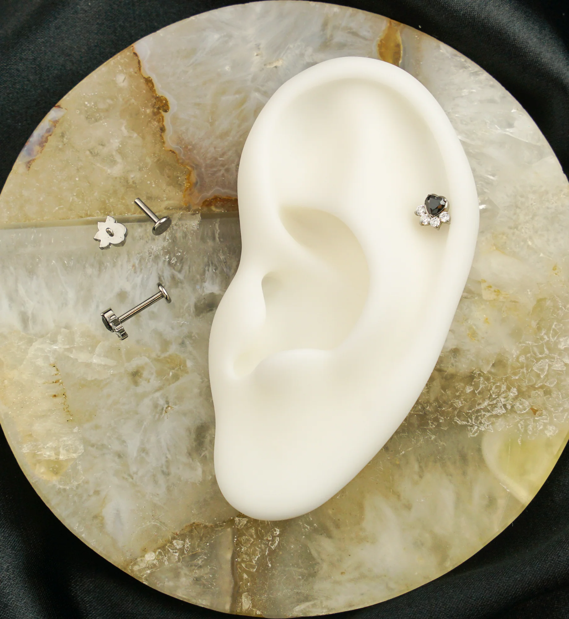 Paw Print Love Black CZ Internally Threaded Titanium Labret - Image 3