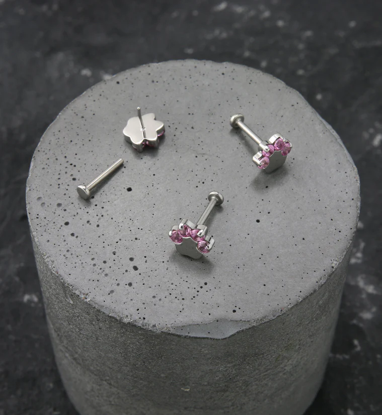 Paw Print Pink CZ Titanium Threadless Labret - Image 2