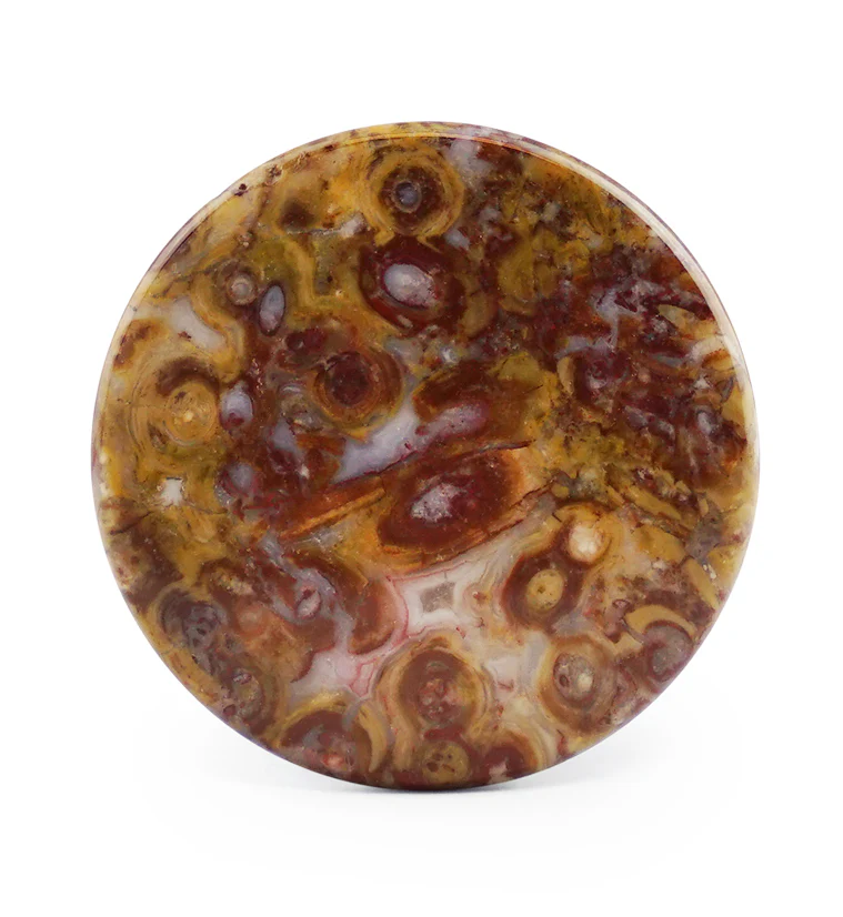 Petrified Palm Root Agate Plugs - Image 3
