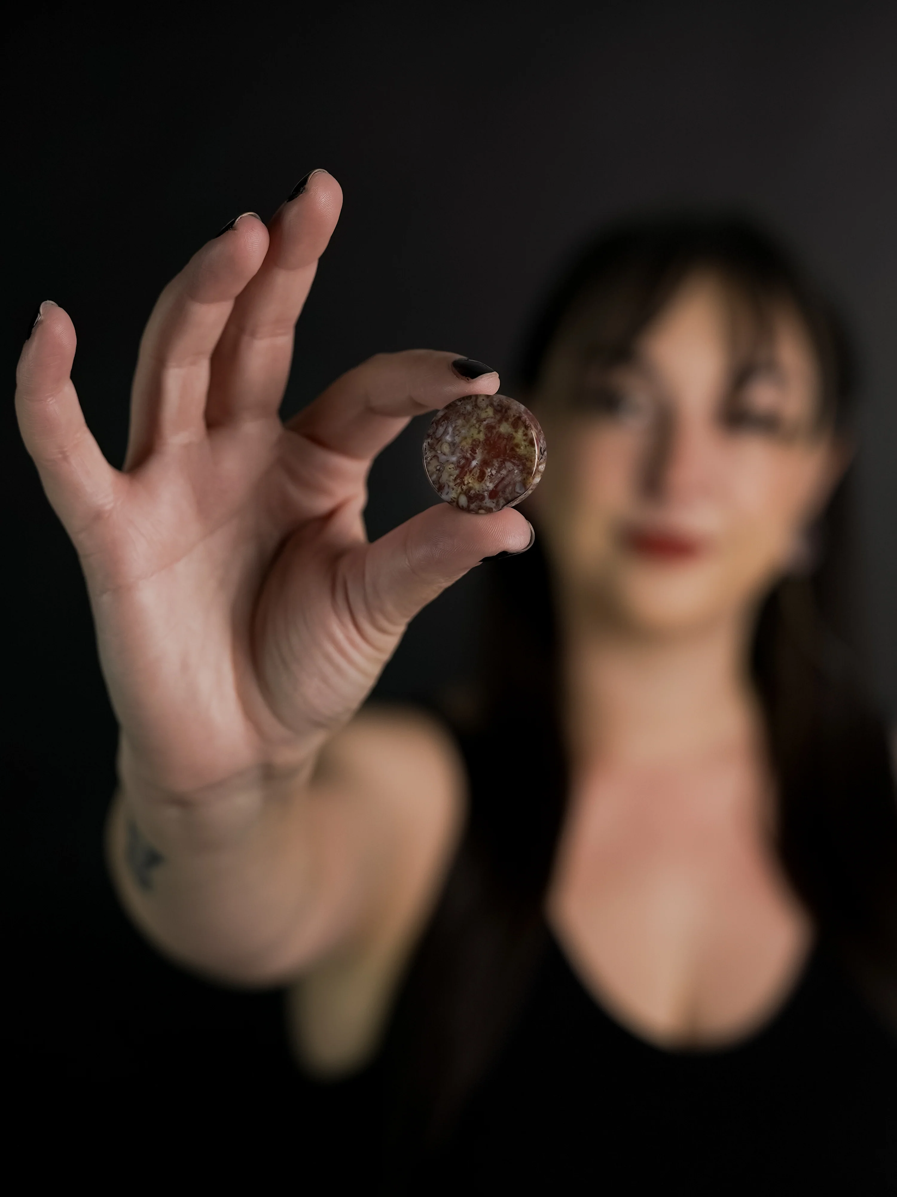 Petrified Palm Root Agate Plugs - Image 4