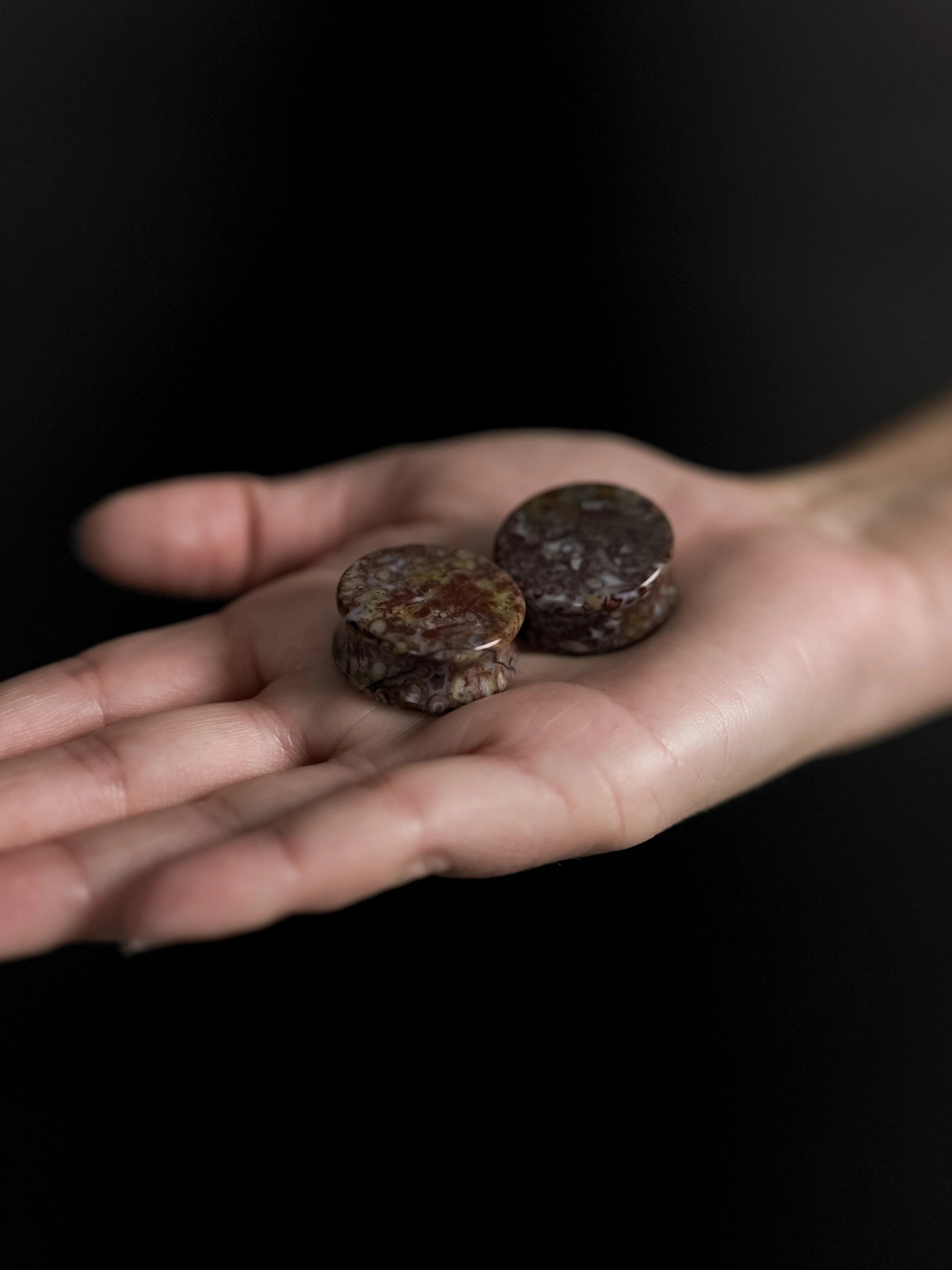 Petrified Palm Root Agate Plugs - Image 5