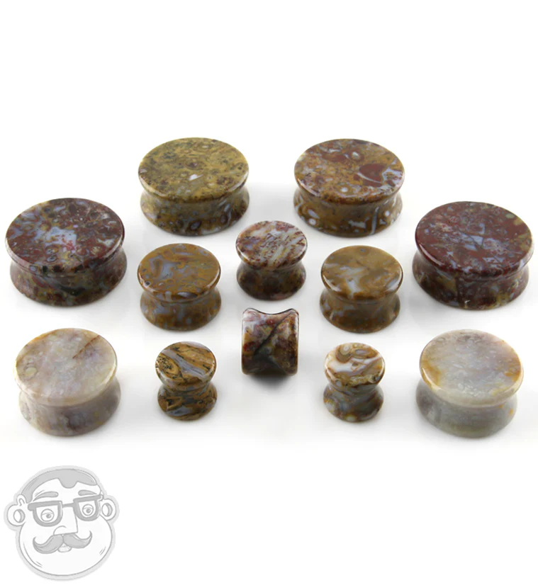 Petrified Palm Root Agate Plugs - Image 6