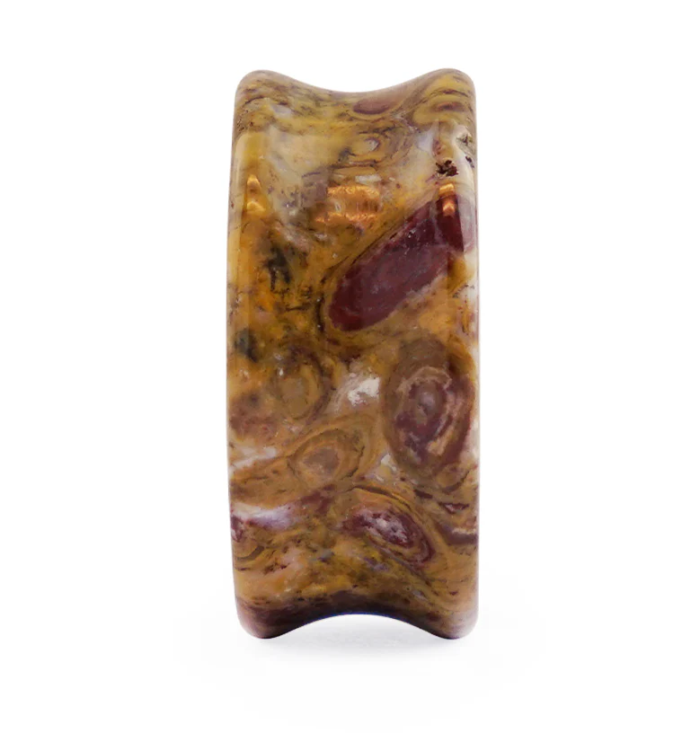 Petrified Palm Root Agate Plugs - Image 7